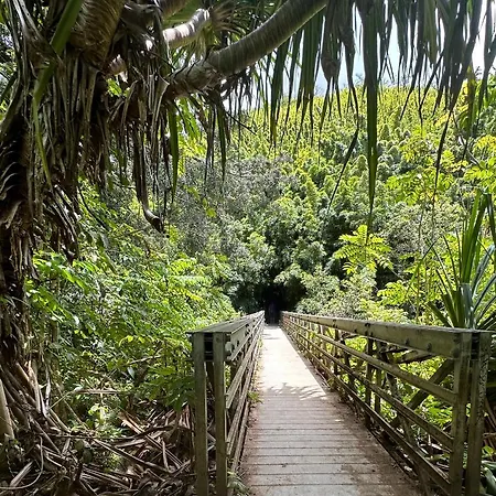 Explore Maui'S Diverse Campgrounds And Uncover The Island'S Beauty From Fresh Perspectives Every Day As You Journey With Aloha Glamp'S Great Jeep Equipped With A Rooftop Tent Paia Extérieur photo