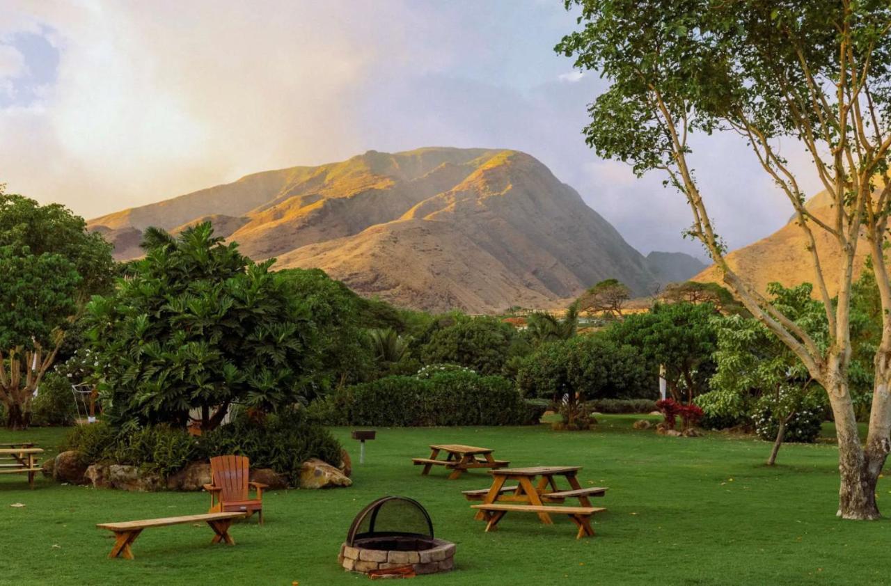 Explore Maui's Diverse And Uncover The Island's Beauty From Fresh Perspectives Every Day As Journey With Aloha Glamp's Great Jeep Equipped With A Rooftop Tent Paia
