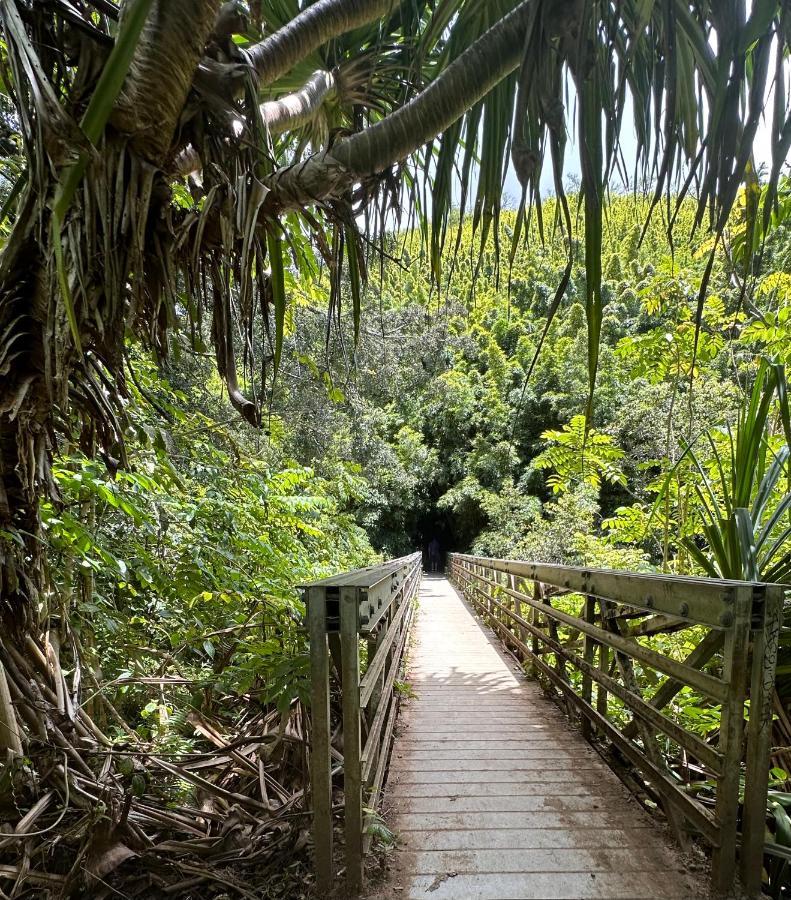 Tente de luxe Explore Maui's Diverse And Uncover The Island's Beauty From Fresh Perspectives Every Day As Journey With Aloha Glamp's Great Jeep Equipped With A Rooftop Tent *