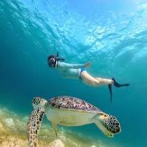 Tente de luxe Explore Maui's Diverse And Uncover The Island's Beauty From Fresh Perspectives Every Day As Journey With Aloha Glamp's Great Jeep Equipped With A Rooftop Tent Paia