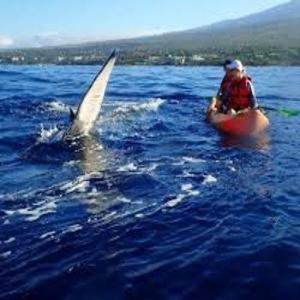 Explore Maui's Diverse And Uncover The Island's Beauty From Fresh Perspectives Every Day As Journey With Aloha Glamp's Great Jeep Equipped With A Rooftop Tent Tente de luxe