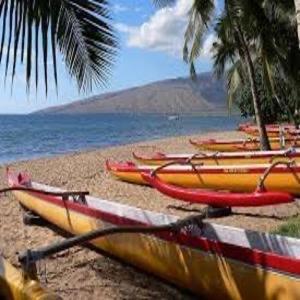 Tente de luxe Explore Maui's Diverse And Uncover The Island's Beauty From Fresh Perspectives Every Day As Journey With Aloha Glamp's Great Jeep Equipped With A Rooftop Tent Paia